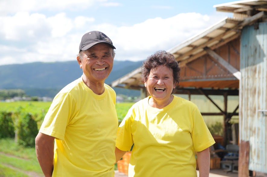 【お米の定期便】はぴねすらいす白米5kg&玄米5kg