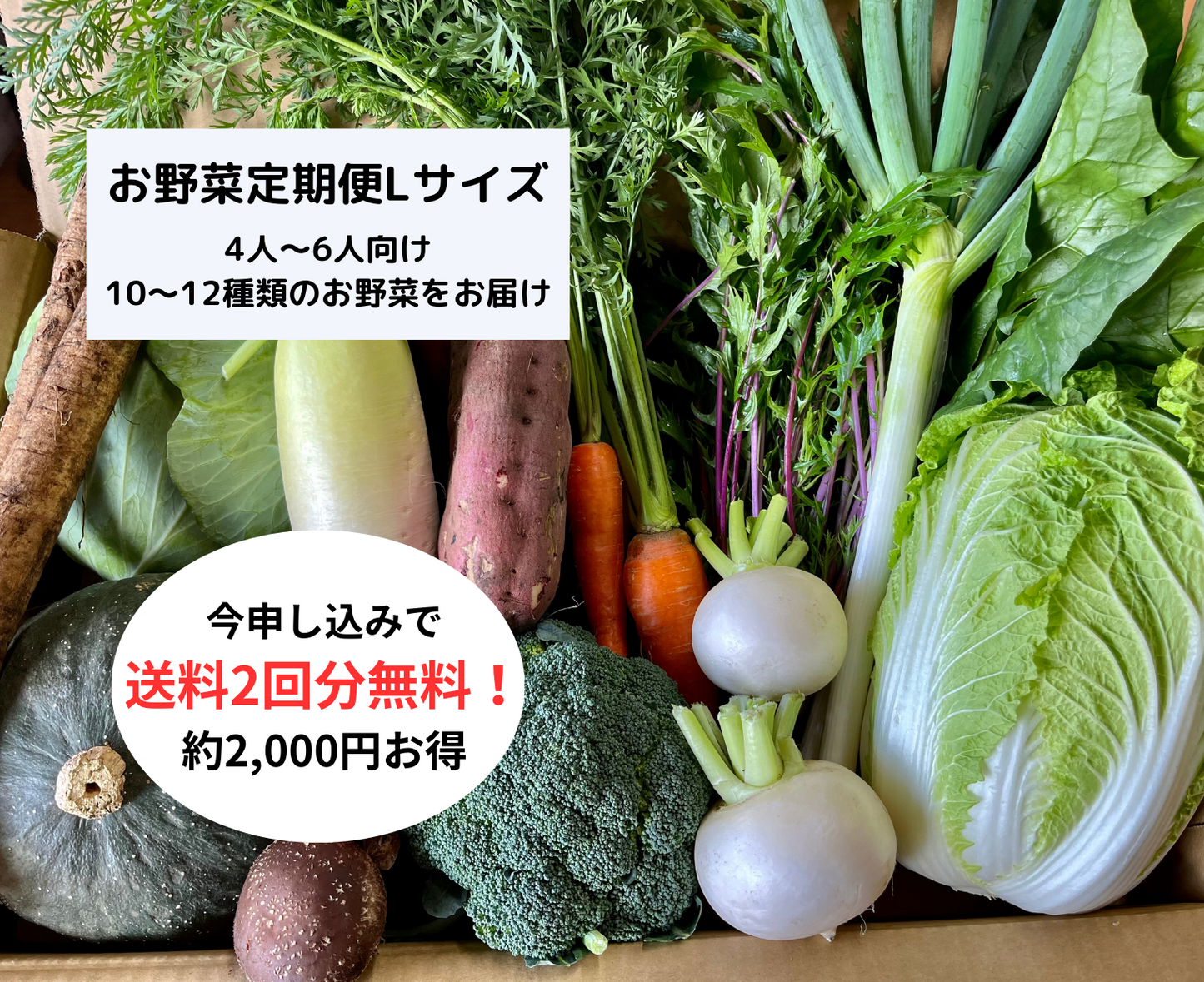 【定期便】旬のお野菜セット【Lサイズ12〜14種類】