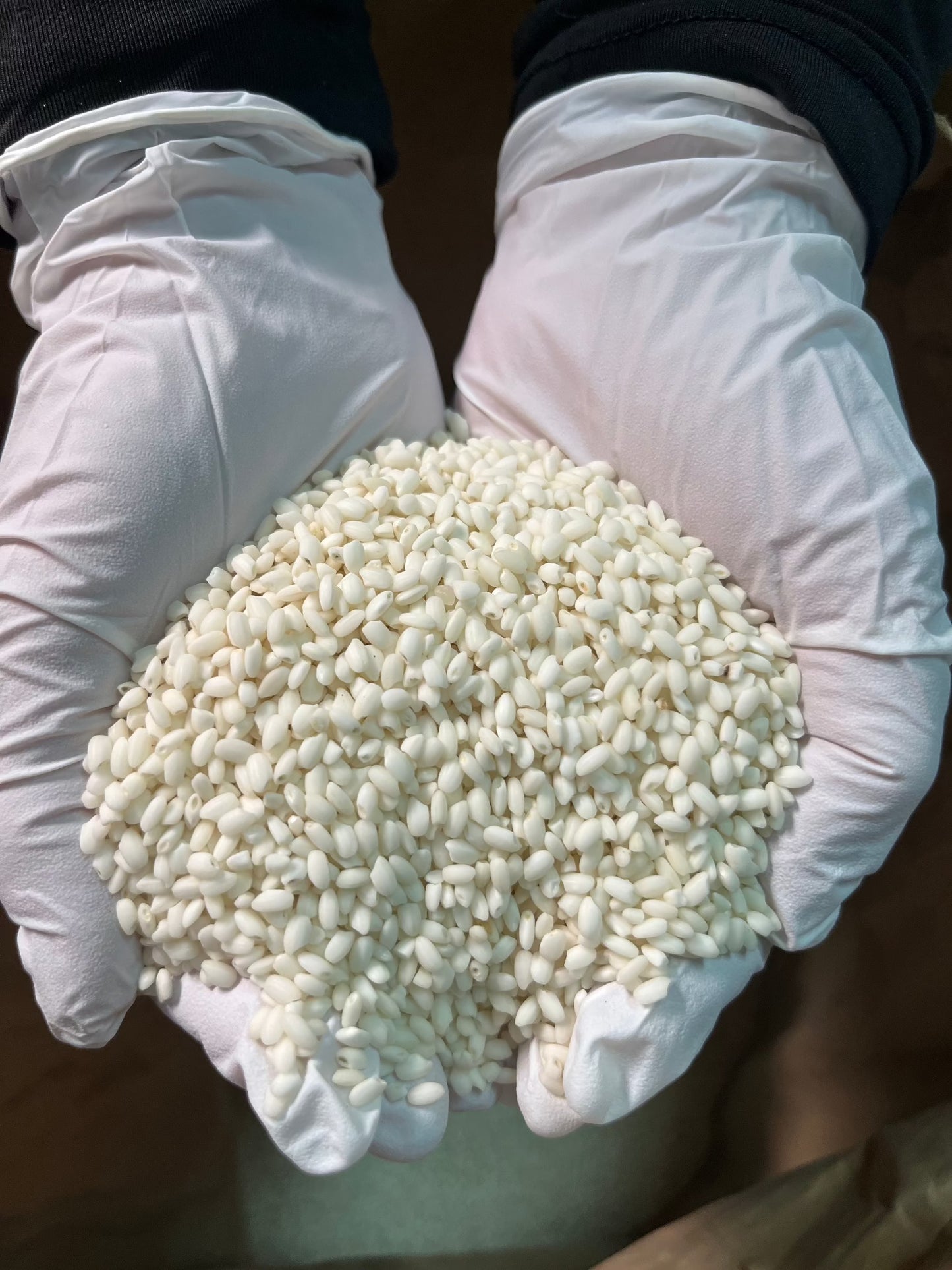 南九州郷土おやつ あくまき きな粉入り 送料込(北海道・沖縄+1000円)