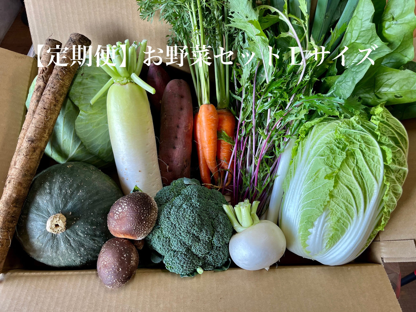 【定期便】旬のお野菜セット【Lサイズ12〜14種類】