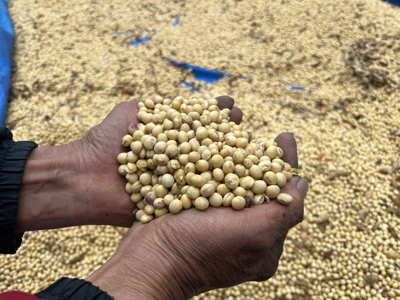 ちよちゃん特製昔ながらの「笑顔みそ」500g 2個/4個/6個/10個入り(送料込み)