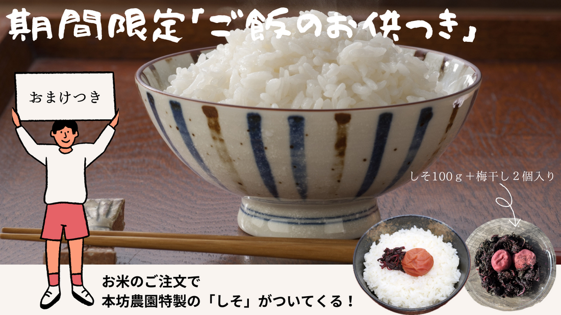 お米のご注文でご飯のお供がついてくる！