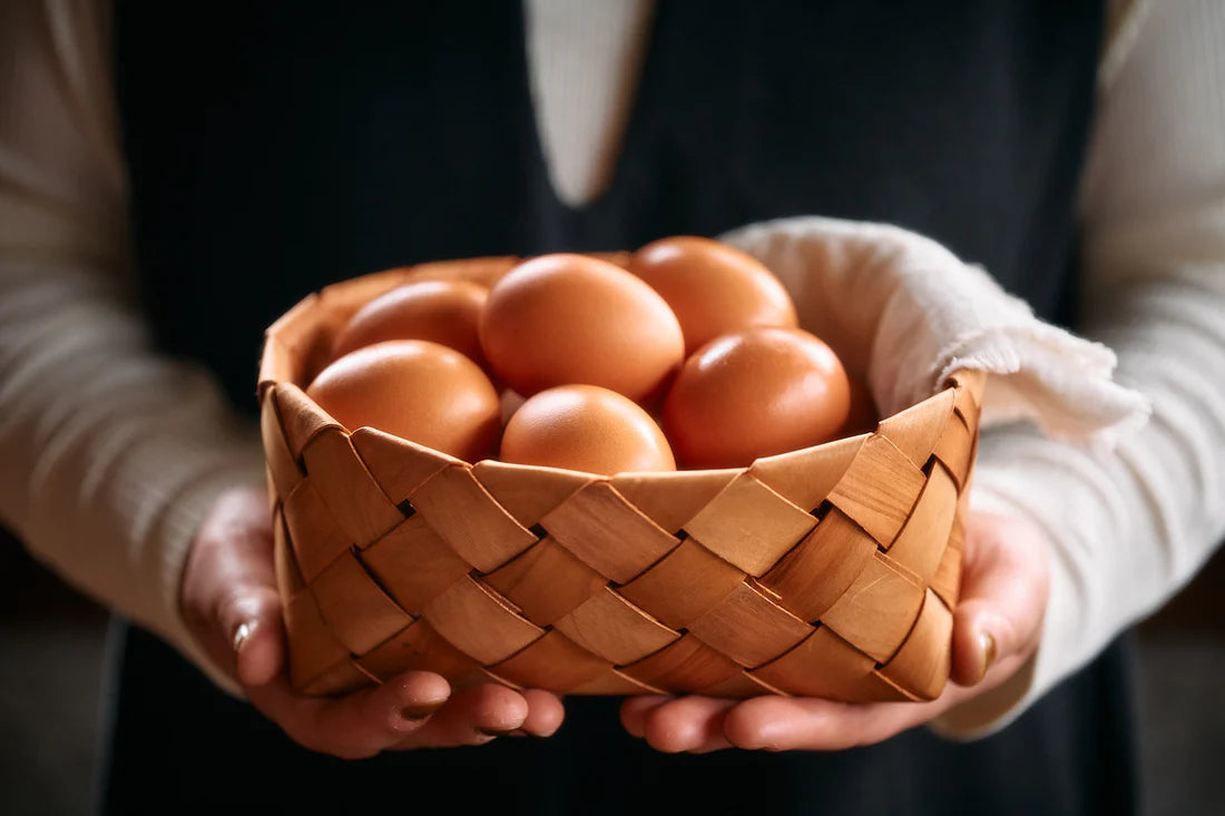 【定期便に追加】康卵10個入り(東康夫養鶏)