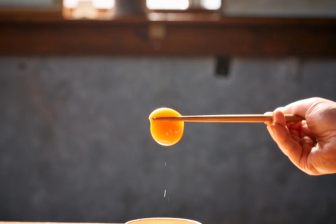 【定期便に追加】康卵10個入り(東康夫養鶏)