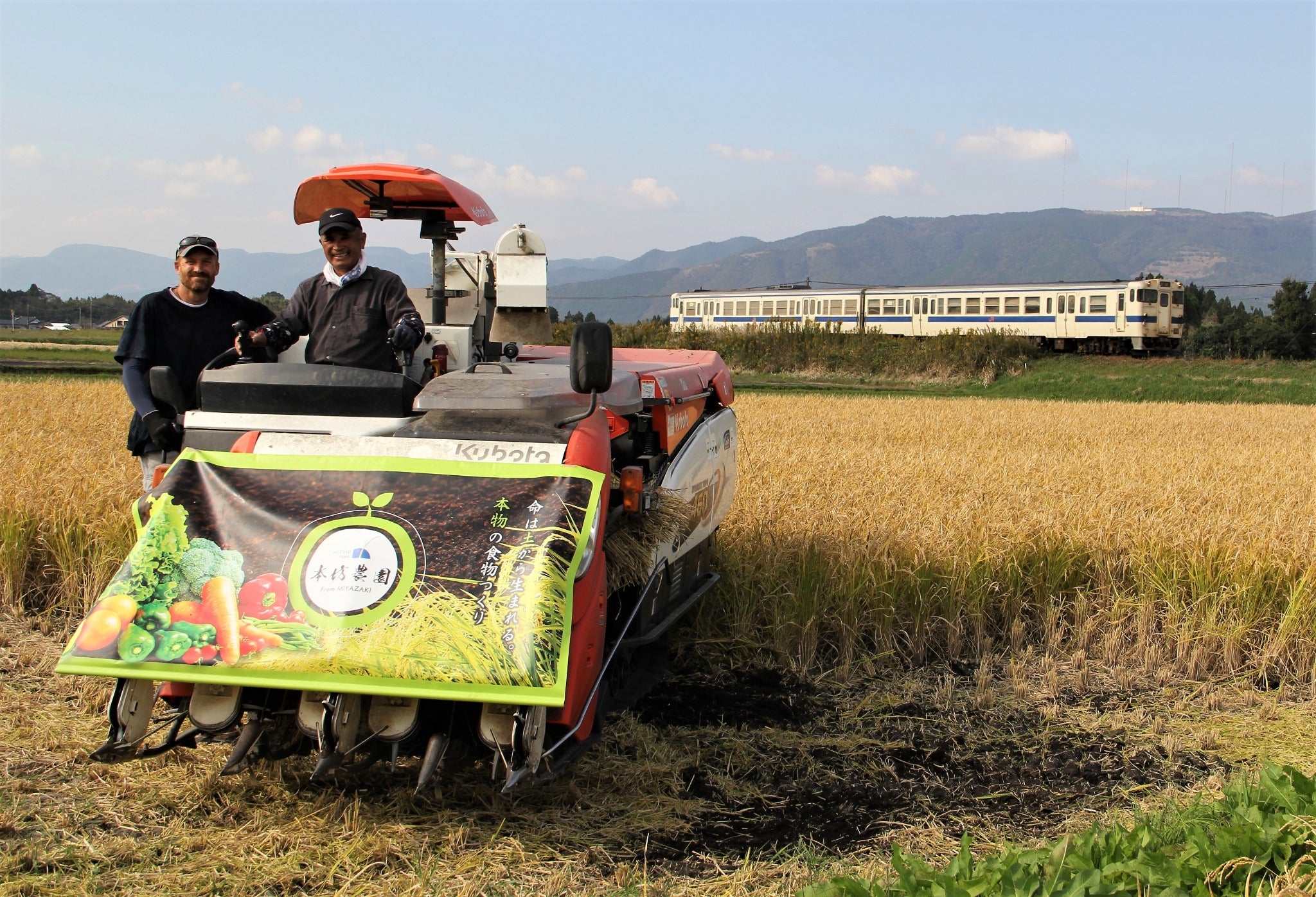 【お米の定期便】はぴねすらいす20㎏