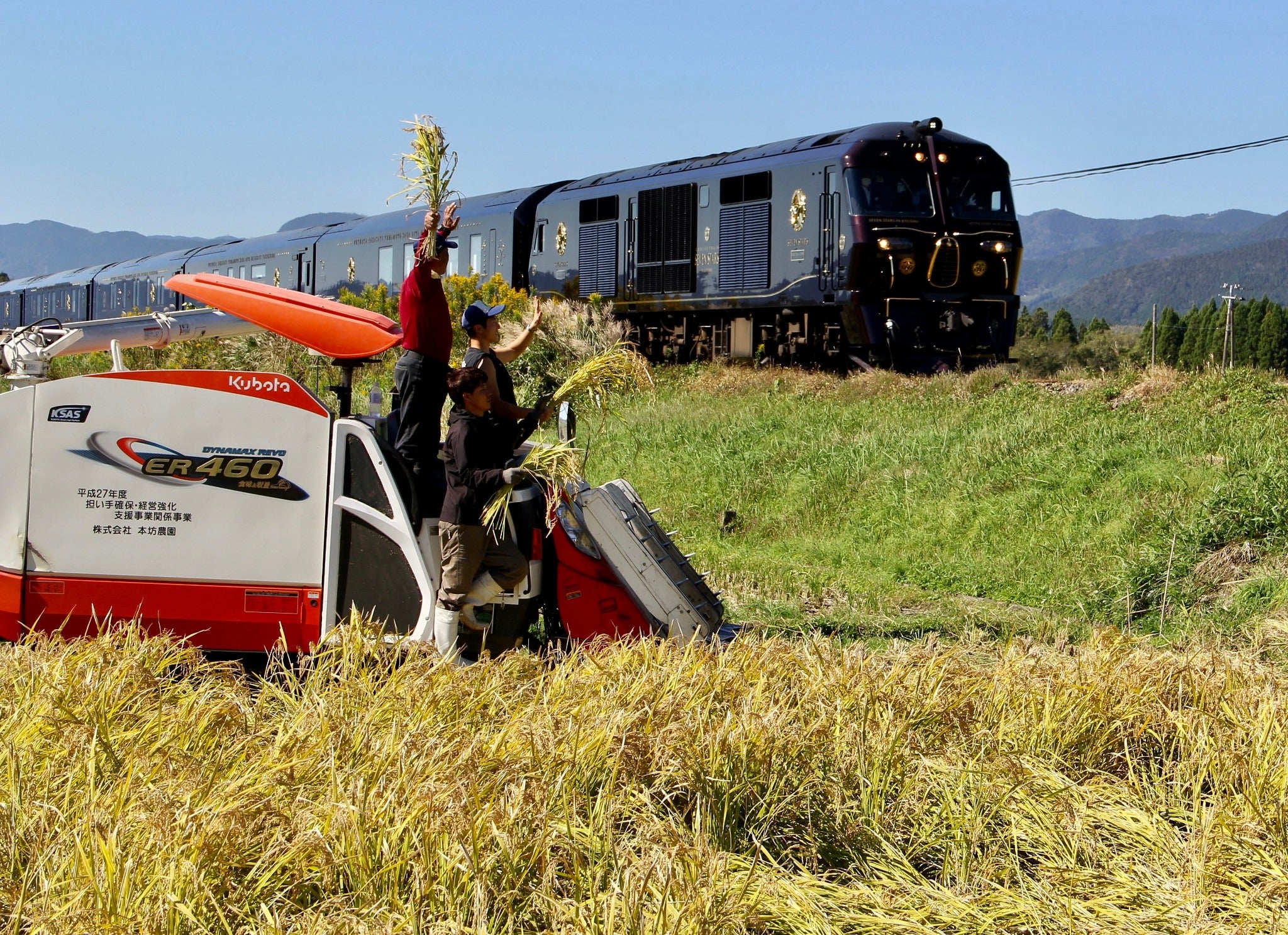 【お米の定期便】はぴねすらいす白米5kg＆玄米5kg