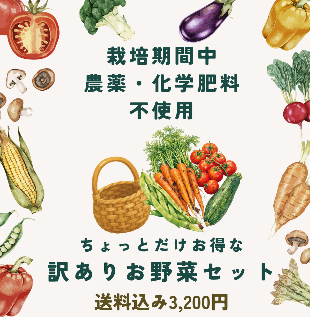 【訳ありお野菜セット】送料込み（北海道・沖縄＋1,000円）