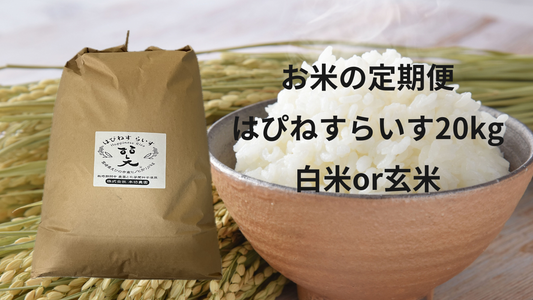 【お米の定期便】はぴねすらいす20㎏