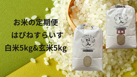 【お米の定期便】はぴねすらいす白米5kg＆玄米5kg