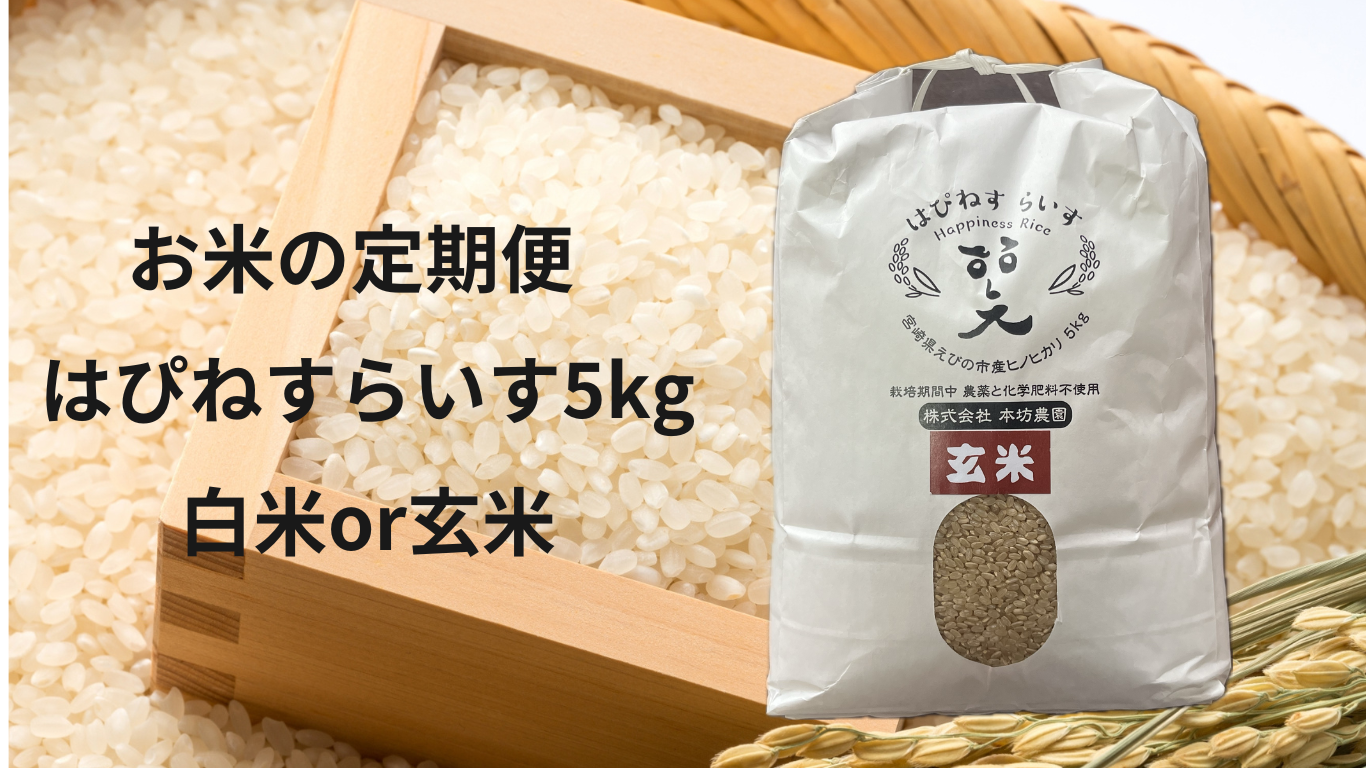 【お米の定期便】はぴねすらいす5kg