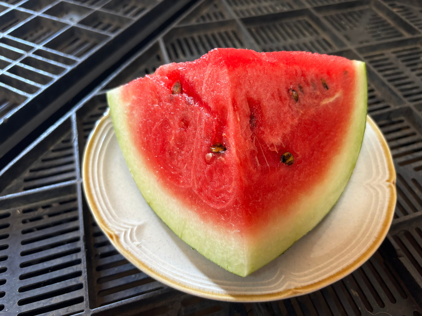 【数量限定】スイカ (送料込み 北海道・沖縄＋800円)