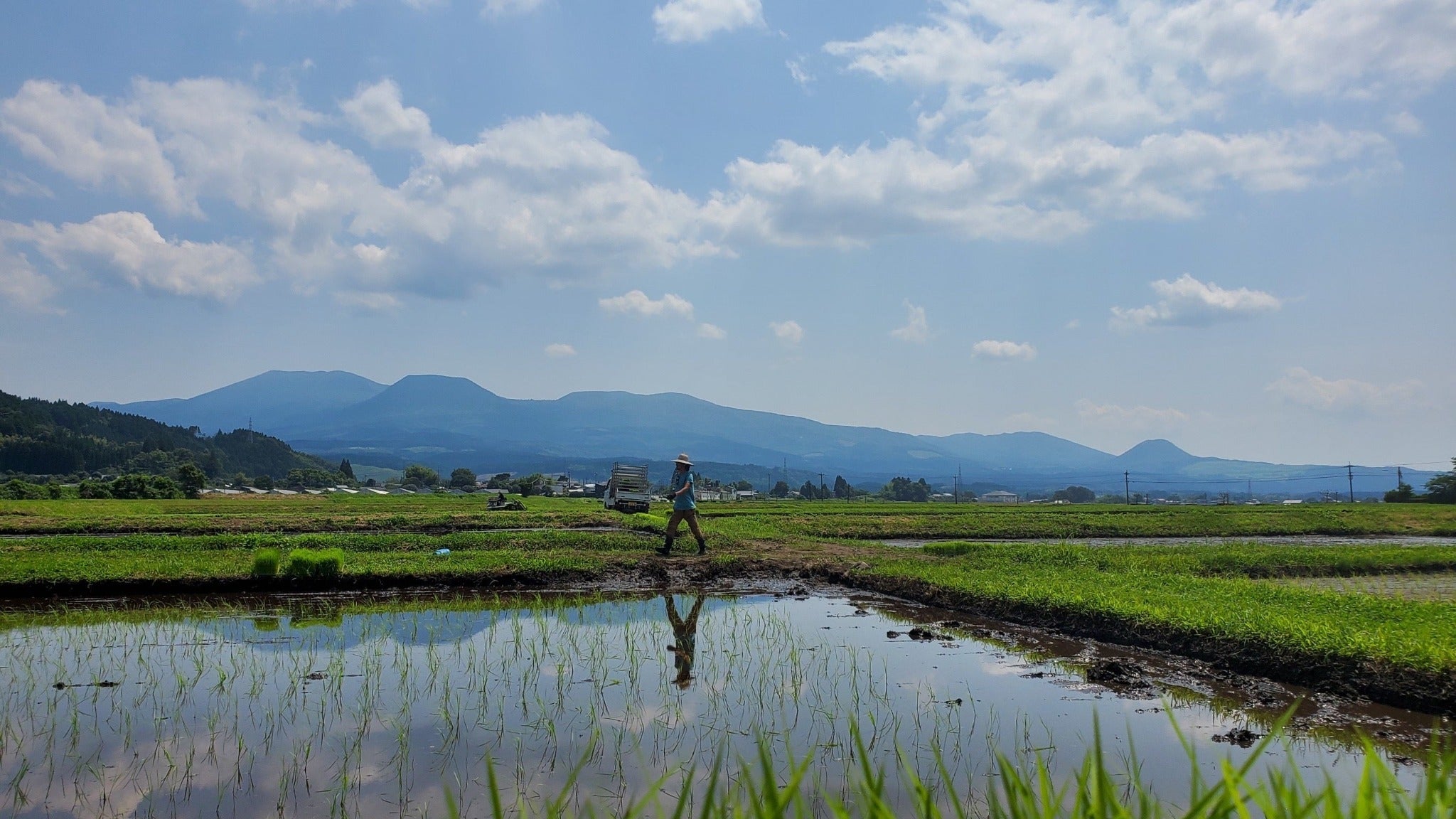 【お米の定期便】はぴねすらいす白米5kg＆玄米5kg