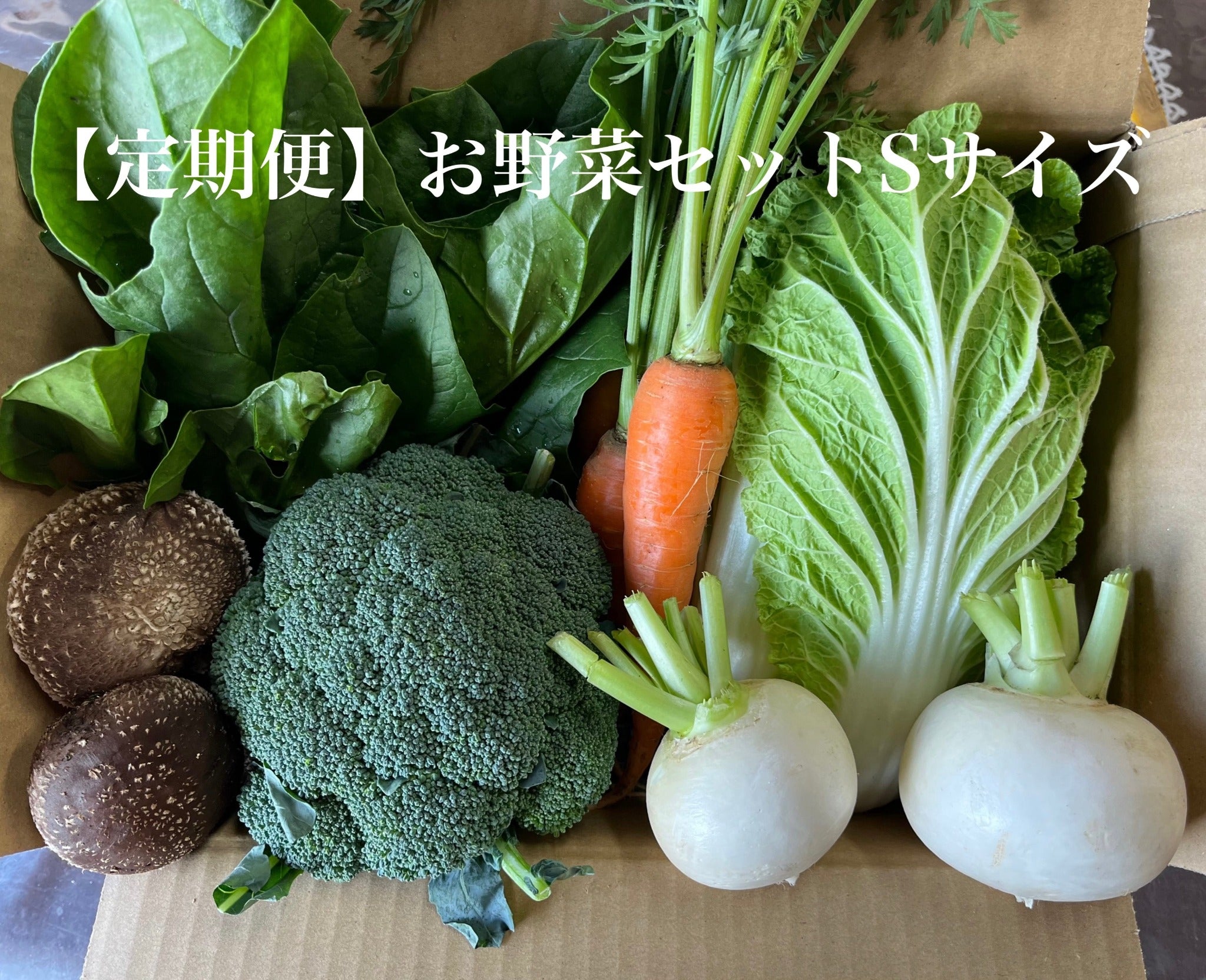 【定期便】旬のお野菜セット【Sサイズ６〜８種類】