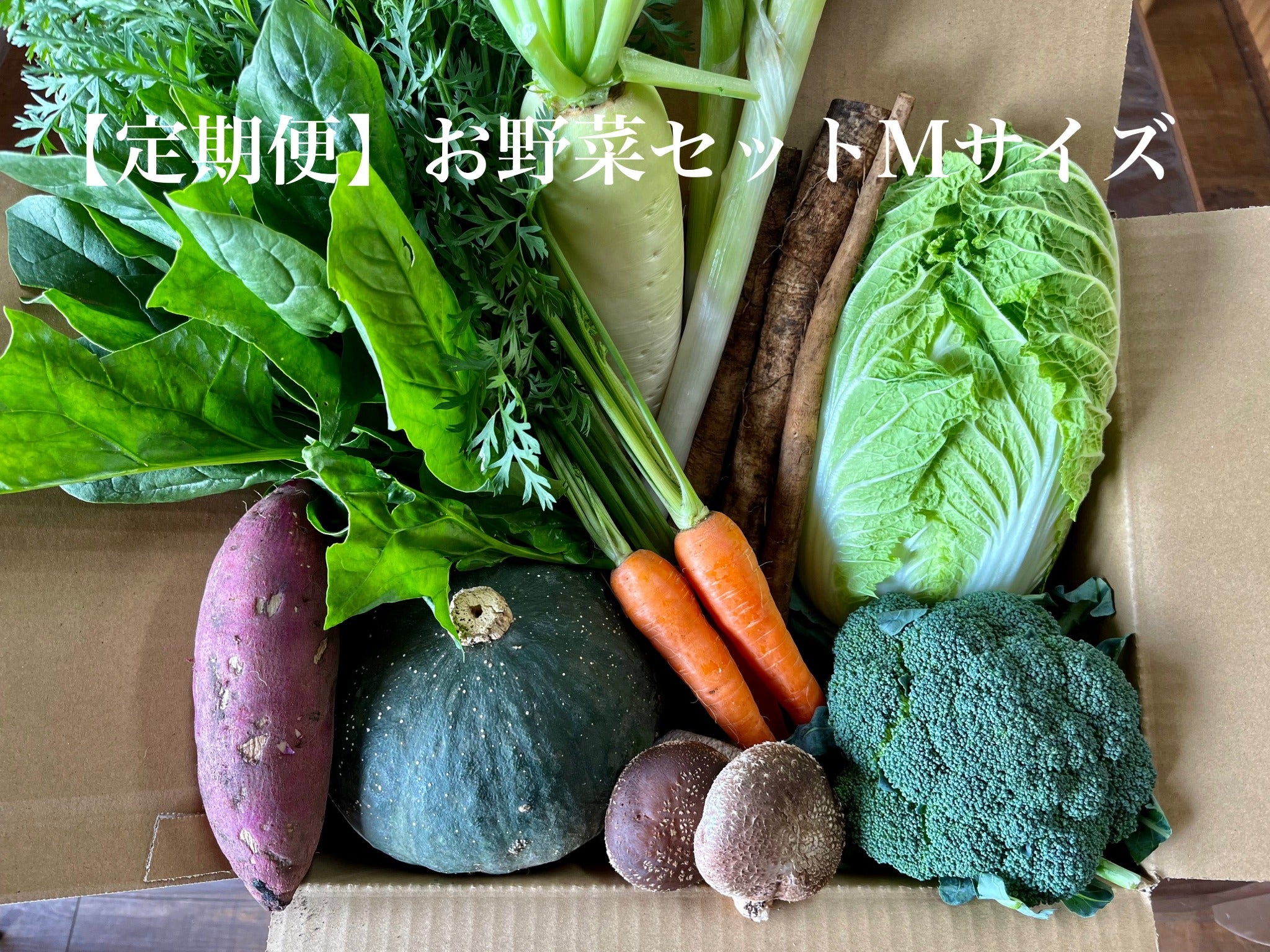 【定期便】旬のお野菜セット【Mサイズ８〜１０種類】
