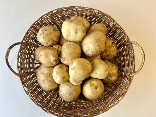 【定期便に追加】じゃがいも 1袋(400ｇ)