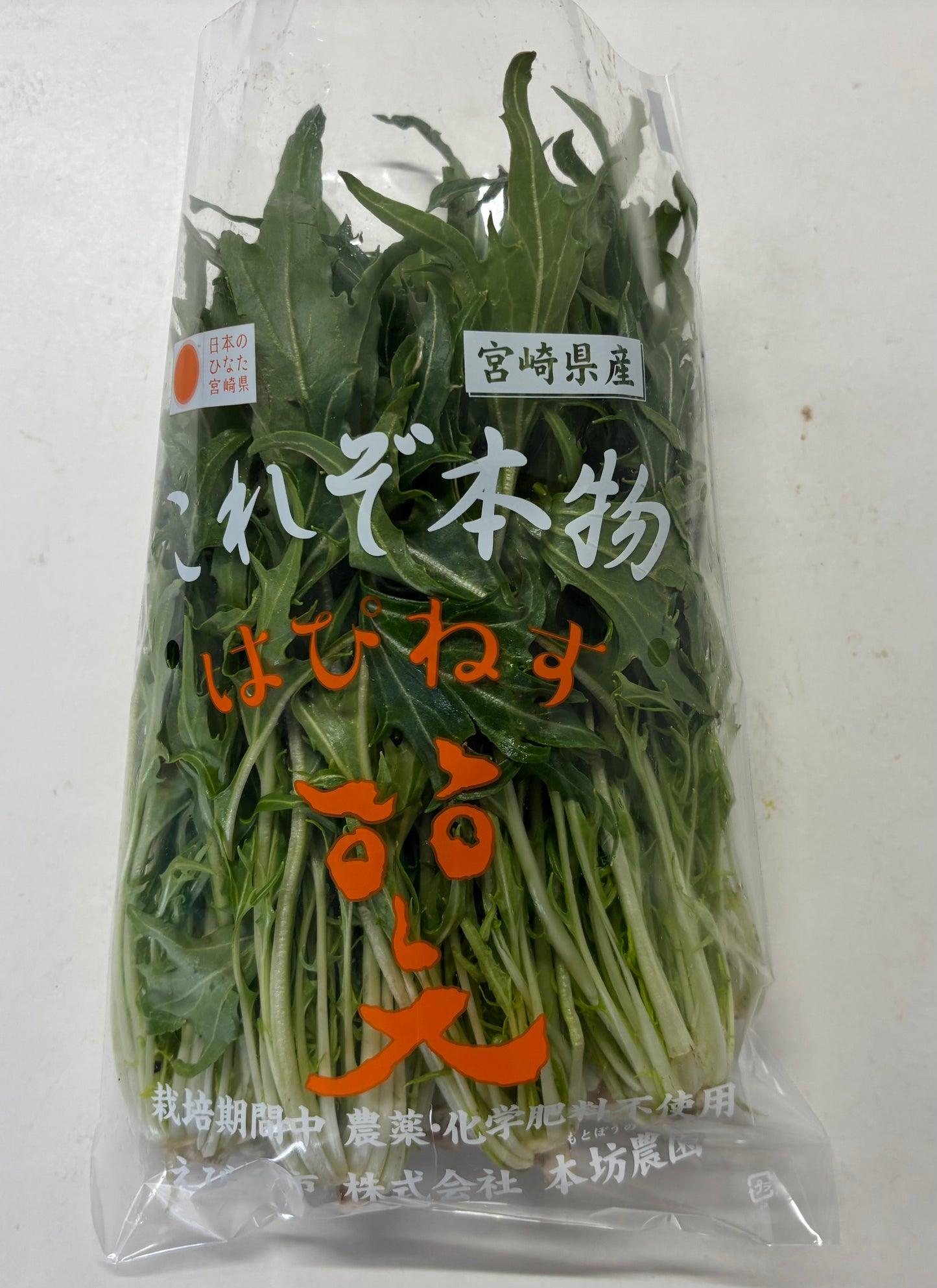【定期便に追加】水菜 1袋(200g)