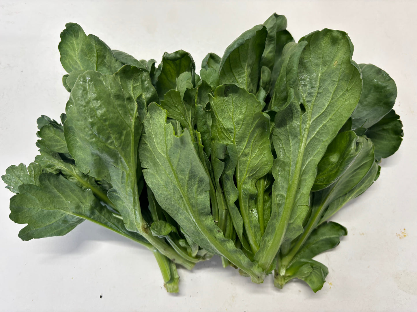 【定期便に追加】春菊 1袋(200g)