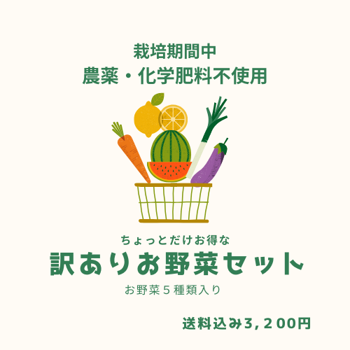 【訳ありお野菜セット】　５種類入り　送料込み（北海道・沖縄＋1,000円）